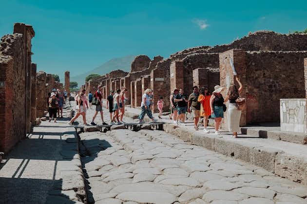 Pompeii og Herculaneum frá Róm með háhraðalest