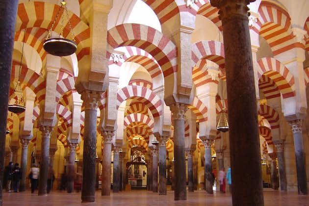 Cordoba och dess moskétur från Málaga