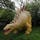 Dinosaur Park, St Florence, Pembrokeshire, Wales, United Kingdom