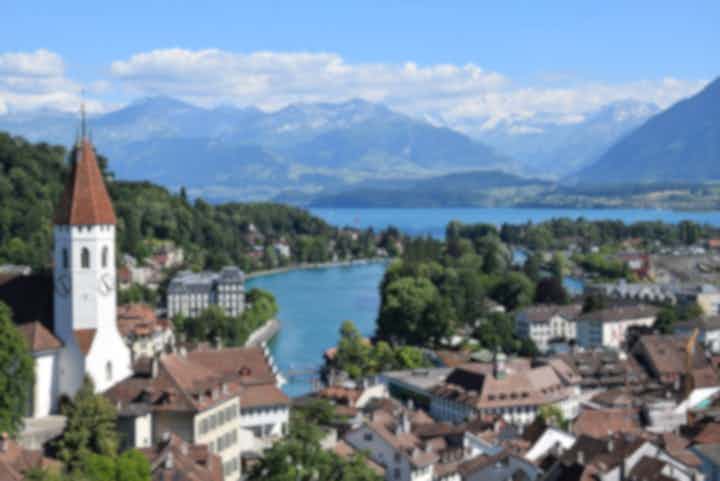 瑞士Thun的度假出租公寓