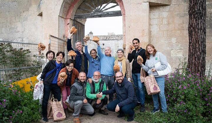 Food and Wine Tour between the Patriarchs Olives and the Oil Temples