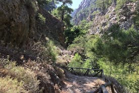 Hike Agia Irini Gorge Full Day Private Tour 