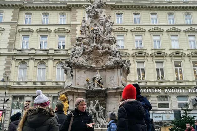 Privat halvdagshistorisk vandringstur i Wien: Byen til mange paster