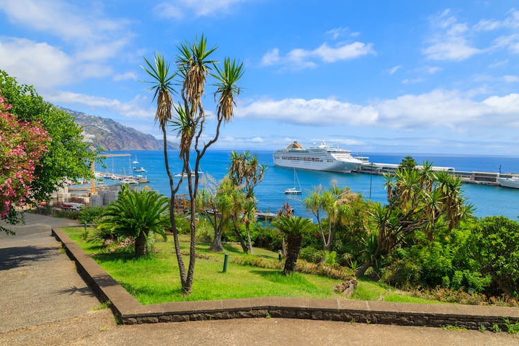 Photo of tropical park in Funchal town with cruise ship on sea.