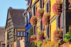 Alsace's Gems Small Group Day Tour from Colmar