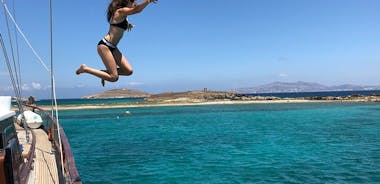 Mykonos: Combo Yacht Cruise til Rhenia og guidet tur i Delos (gratis overførsler)