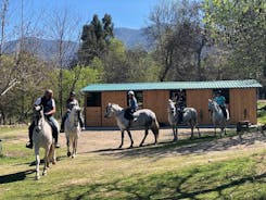 Hestevaner gjennom Ambroz-dalen