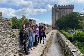 Fácil acesso - passeio pela Blarney Stone e Castle Gardens