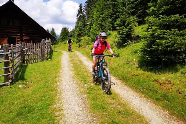 Guided e-bike tour of the alpine pastures in the Salzkammergut