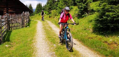 Guidet e-sykkeltur til alpebeitene i Salzkammergut