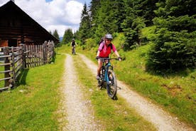 Tour guiado en bicicleta eléctrica por los pastos alpinos en Salzkammergut