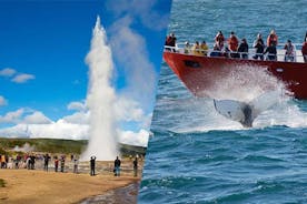 Golden circle and Whale watching in Reykjavik