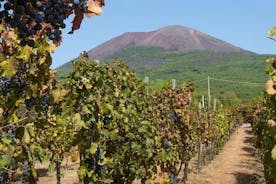 Private Food and Wine Tour by Mount Vesuvius