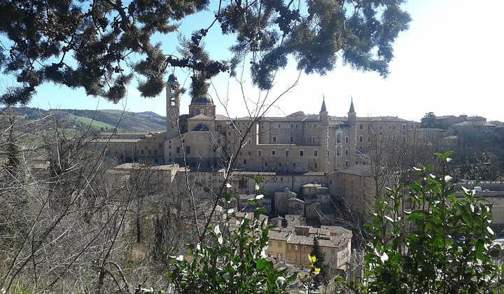 Besuch des herzoglichen Palastes von Urbino