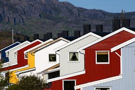 Trondheimin yksityinen kävelykierros