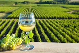 Loire Valley Wine Half Day Tour in Vouvray