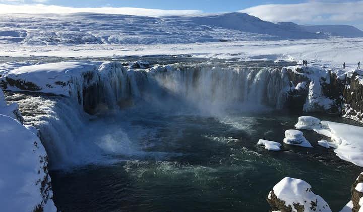 Lake Myvatn Day Tour and Godafoss Waterfall for Cruise Ships from Akureyri Port