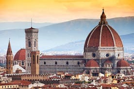 Privater ganztägiger Landausflug nach Florenz und Pisa ab Livorno