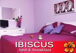 Bed And Breakfast Ibiscus