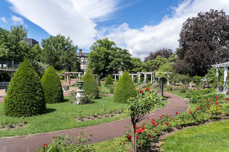 Photo of Shrubs trimmed in the form of cones and roses in Lecoq City Park in Clermont-Ferrand, France.