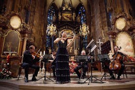 Concerto na Catedral de Santo Estêvão em Viena