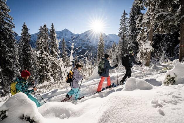 Aventura alpina de invierno