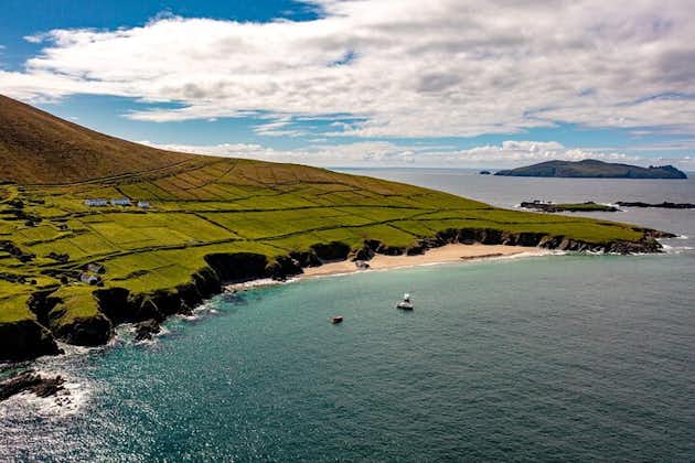 Blasket Islands Dolphin Boat Tour from Dingle