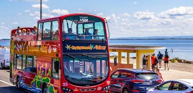 Kaupungin nähtävyydet Galwayn Hop-On Hop-Off -bussikierros