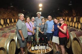 Beaujolais Crus Wines & Castles (9:00 - 13:30) - Tour per piccoli gruppi da Lione