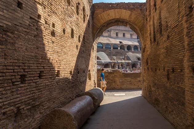 Coliseo subterráneo para grupos pequeños, Foro Romano y Monte Palatino