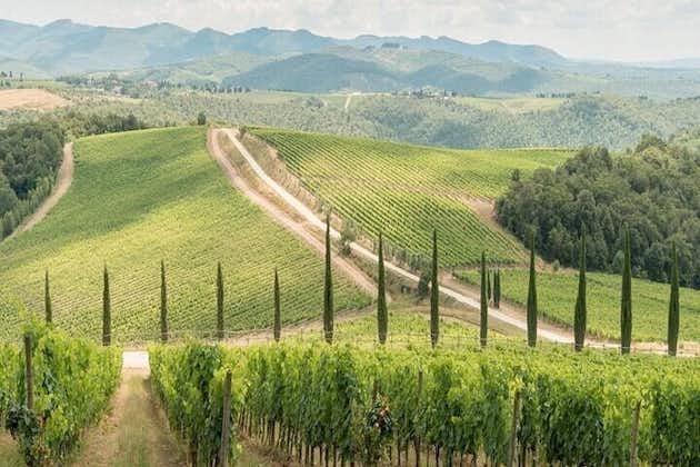 Visite privée des vignobles du Chianti au départ de Livourne avec prise en charge et retour