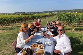 Full Day Wine Tour in Vouvray and Chinon with LUNCH at the winery