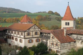 Romantic Road, Rothenburg, and Harburg Day Tour from Munich