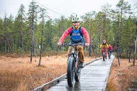 Private Scenic E-Bike Ride in Rovaniemi