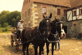 Tochten met paard en wagen met Poolse traditionele eetervaring