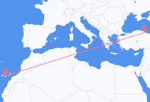 出发地 土耳其出发地 薩姆松目的地 西班牙拉斯帕尔马斯的航班