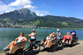 Lucerne Electric Cargo Bike Tour with Hidden Gems