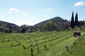 ¡La fuga de la uva! Ciclismo en hermosos paisajes con cata de vinos
