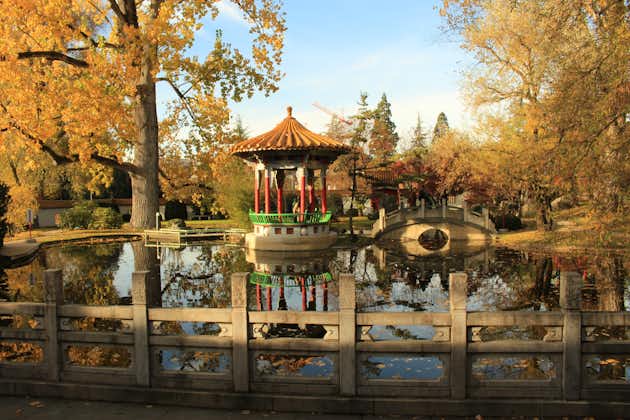 photo of Chinese gardens in Zürichhorn Zurich, in autumn in Switzerland.