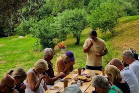 Nordkorfu oliventur med olivenoliesmagning og meze
