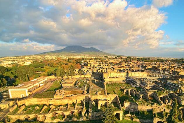 Private tour to Pompeii from Rome: Driver and guide in Pompeii (tickets inc)