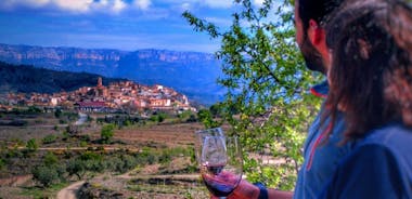Privat vin og olietur i Priorat-vinregionen