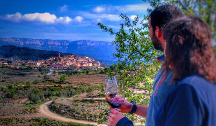Privat vin og olietur i Priorat-vinregionen