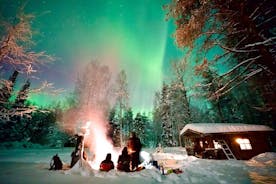 Northern Lights Tour in Atmospheric Cottage