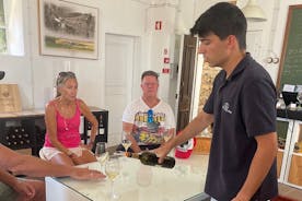 Monsaraz og vinsmakingstur fra Évora