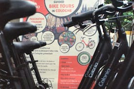 带导游的小团体 3 小时科隆街头艺术自行车之旅