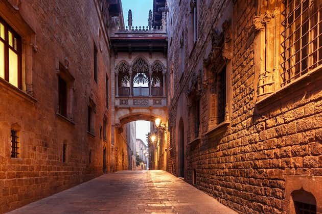 Barcelona's El Raval and the Gothic Quarter: A Self-Guided Audio Tour