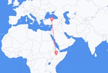 Flyrejser fra Goba, Etiopien til Kayseri, Tyrkiet