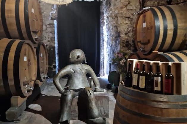 Dégustation de vins à Montepulciano Toscane Visite privée au départ de Rome