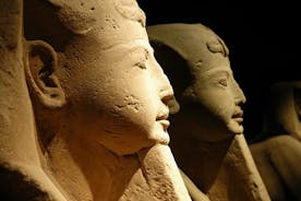 Full Day from Milan: discover Turin and the Egyptian Museum Private Tour